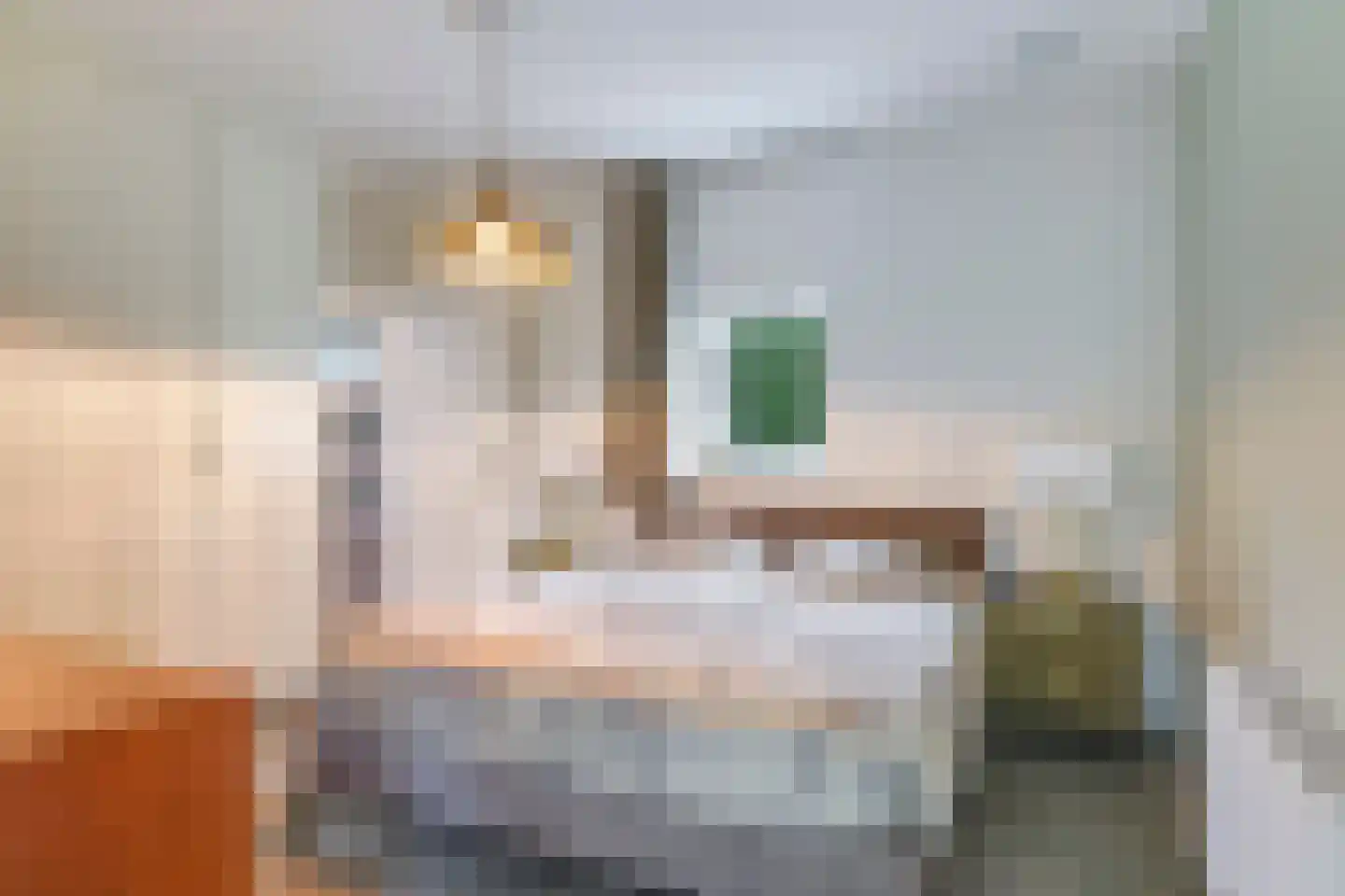 Drielse Rijndijk 3 Heteren thumbnail 45