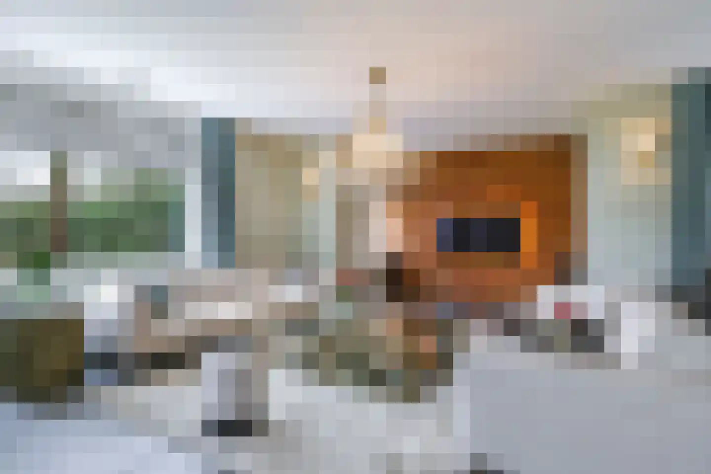 Drielse Rijndijk 3 Heteren thumbnail 6