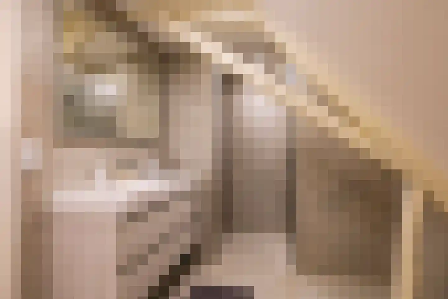 Drielse Rijndijk 3 Heteren thumbnail 61