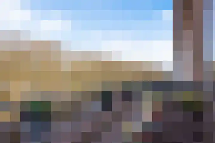 Drielse Rijndijk 3 Heteren thumbnail 63