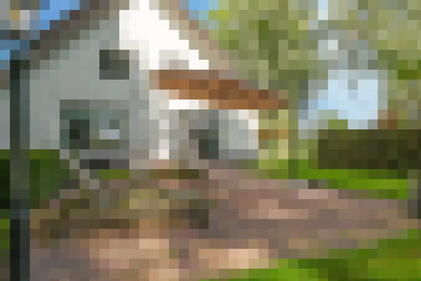 Drielse Rijndijk 3 Heteren thumbnail 69