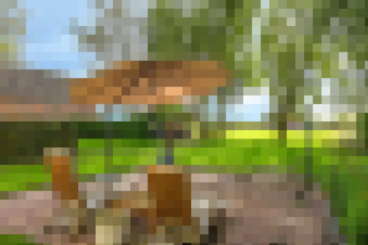 Drielse Rijndijk 3 Heteren thumbnail 70