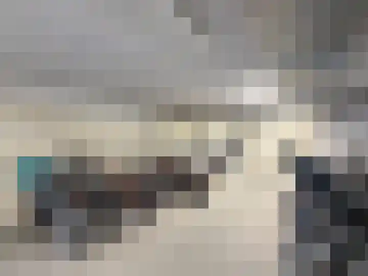 Drielse Rijndijk 3 Heteren thumbnail 72