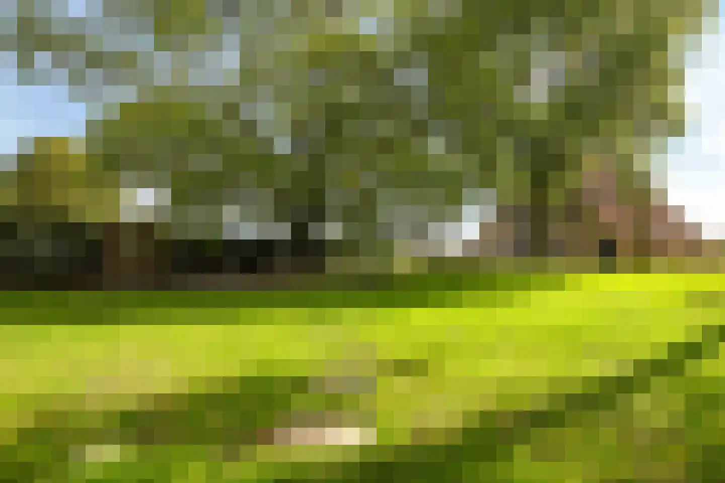 Drielse Rijndijk 3 Heteren thumbnail 79