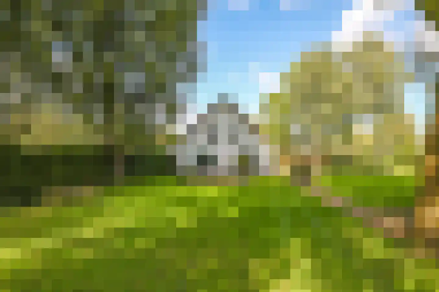 Drielse Rijndijk 3 Heteren thumbnail 87