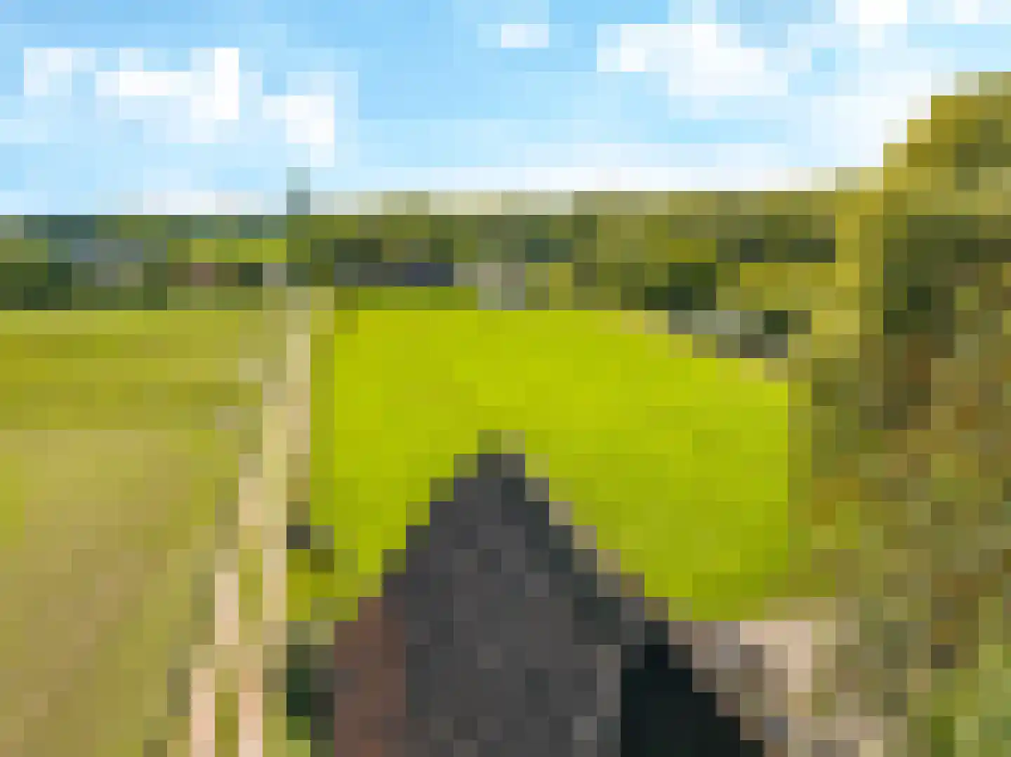 Drielse Rijndijk 3 Heteren thumbnail 93