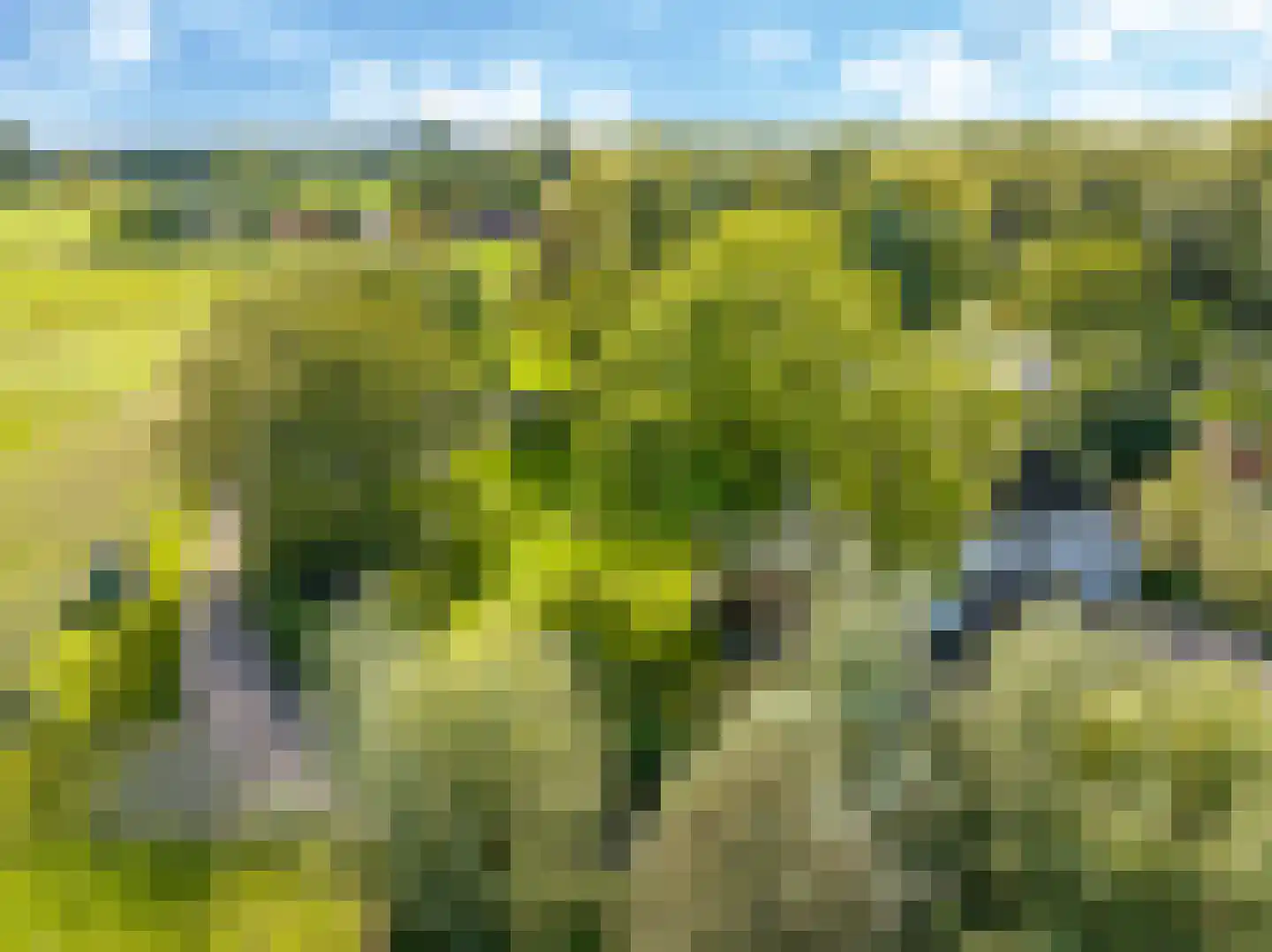 Drielse Rijndijk 3 Heteren thumbnail 96