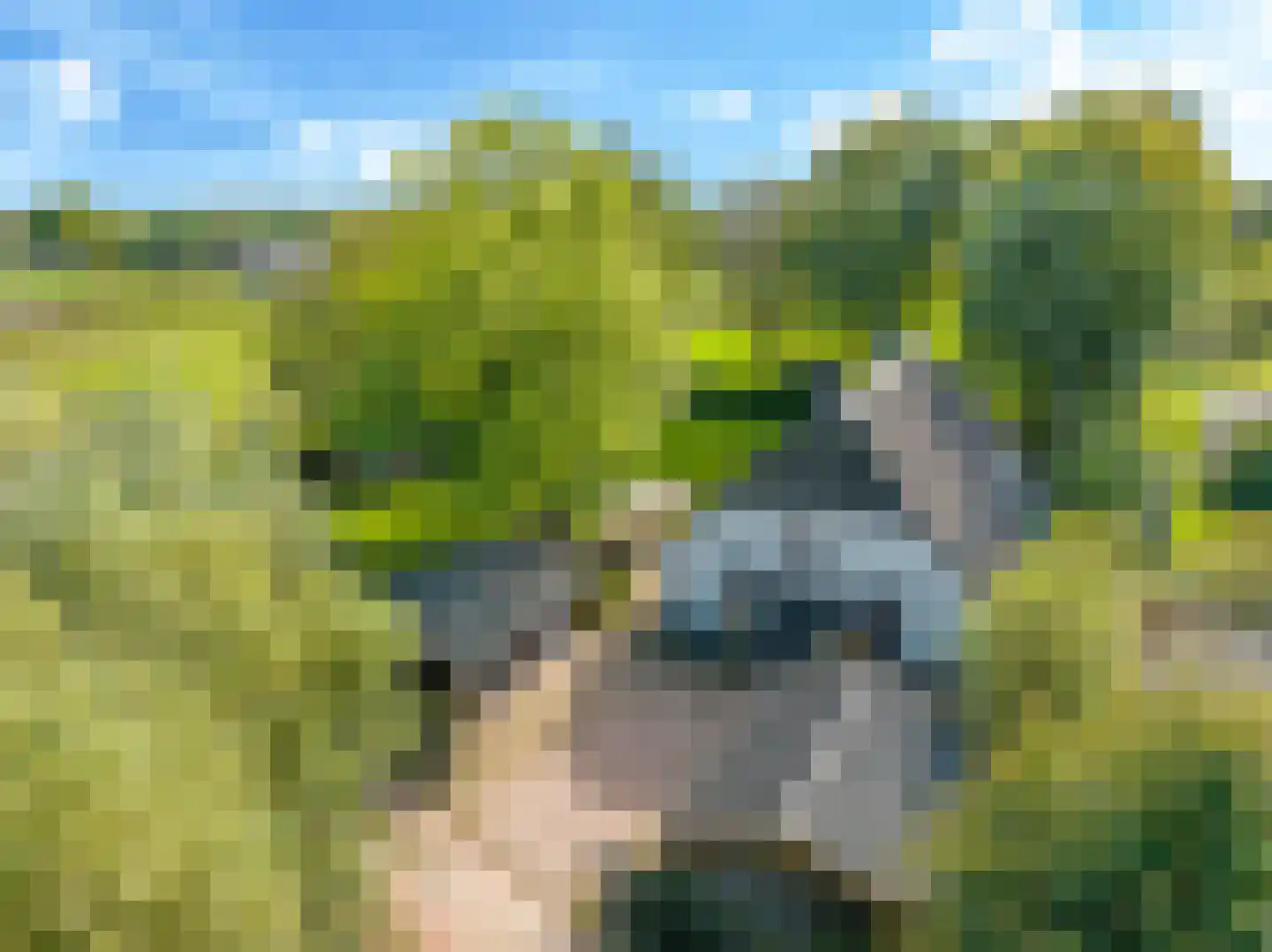 Drielse Rijndijk 3 Heteren thumbnail 97