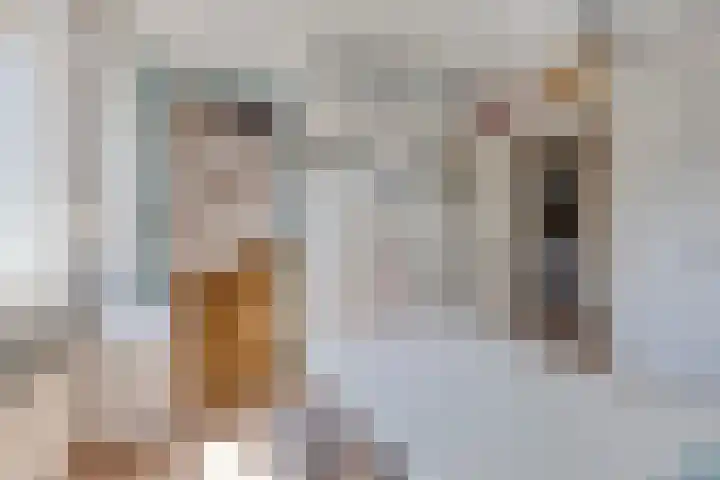 Drielse Rijndijk 3 Heteren thumbnail 99