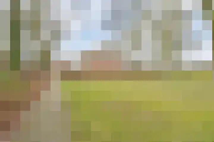 Drielseweg 12 Hedel thumbnail 12