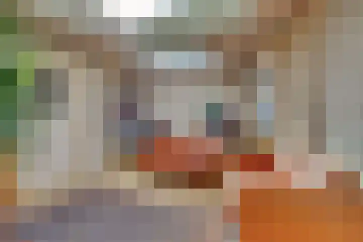 Drielseweg 12 Hedel thumbnail 14