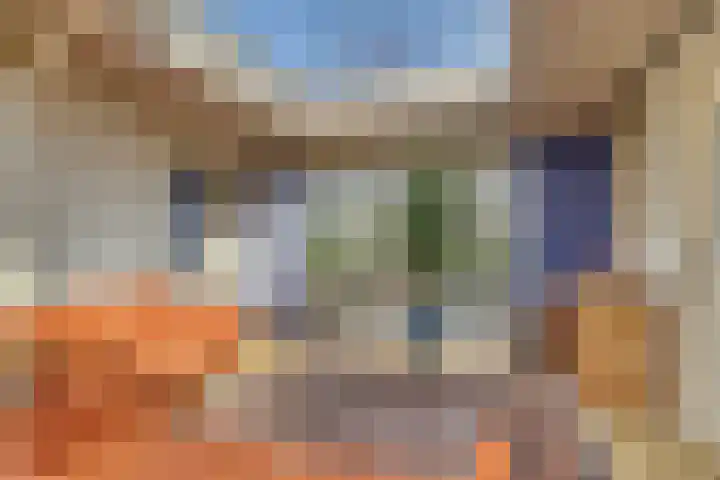 Drielseweg 12 Hedel thumbnail 15