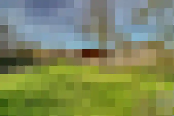 Drielseweg 12 Hedel foto 2