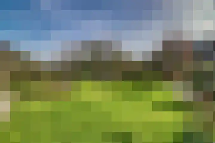 Drielseweg 12 Hedel thumbnail 29