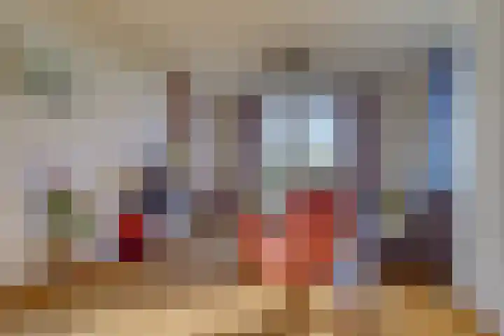 Drielseweg 12 Hedel foto 3