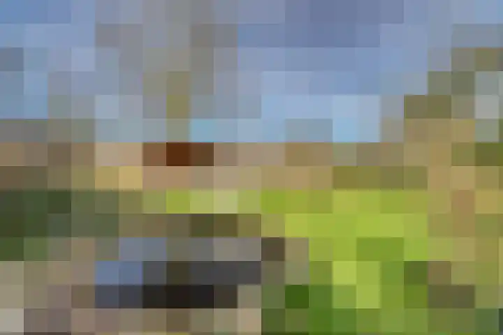 Drielseweg 12 Hedel thumbnail 30