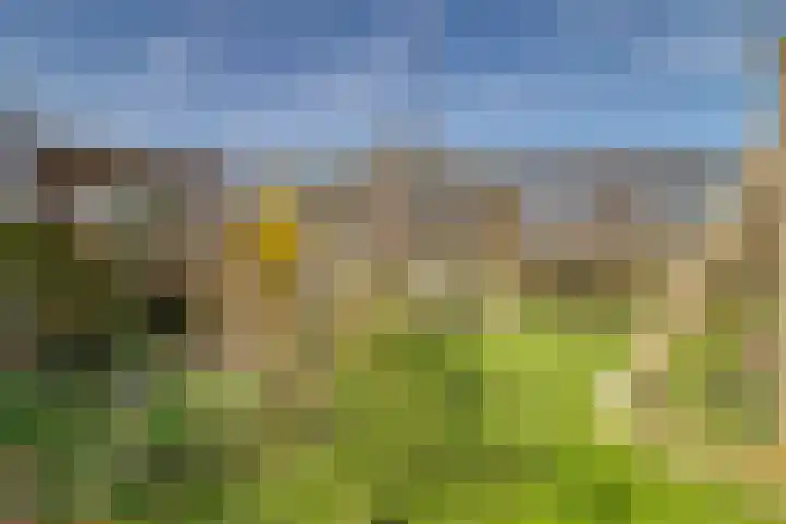 Drielseweg 12 Hedel thumbnail 31