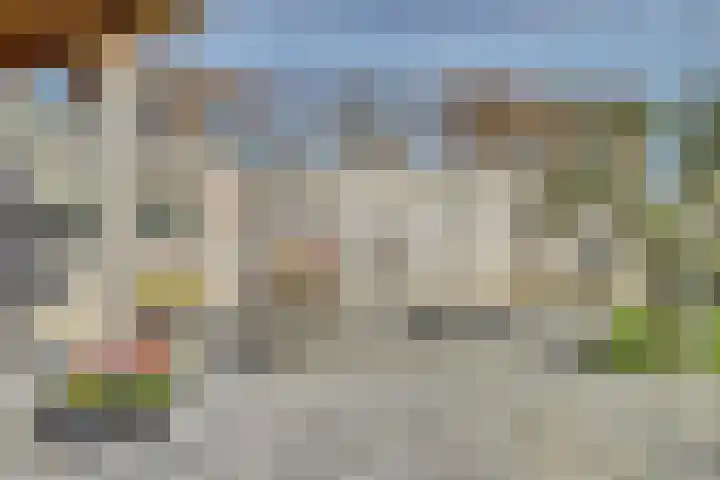 Drielseweg 12 Hedel thumbnail 32