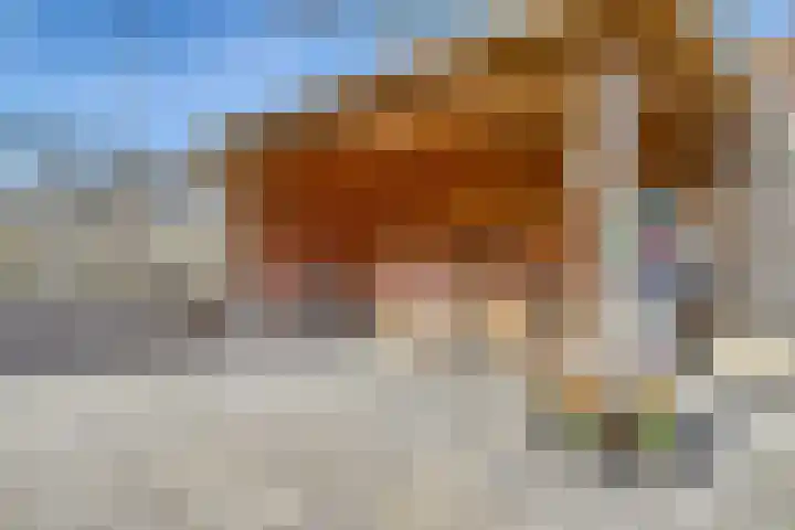 Drielseweg 12 Hedel thumbnail 33