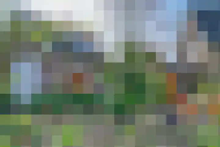 Drielseweg 12 Hedel thumbnail 34