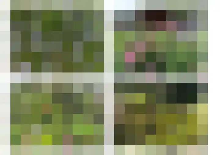 Drielseweg 12 Hedel thumbnail 35