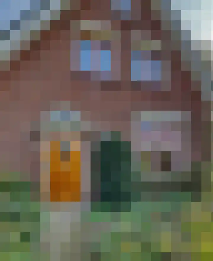 Drielseweg 12 Hedel thumbnail 39
