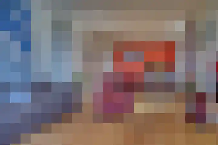 Drielseweg 12 Hedel thumbnail 4