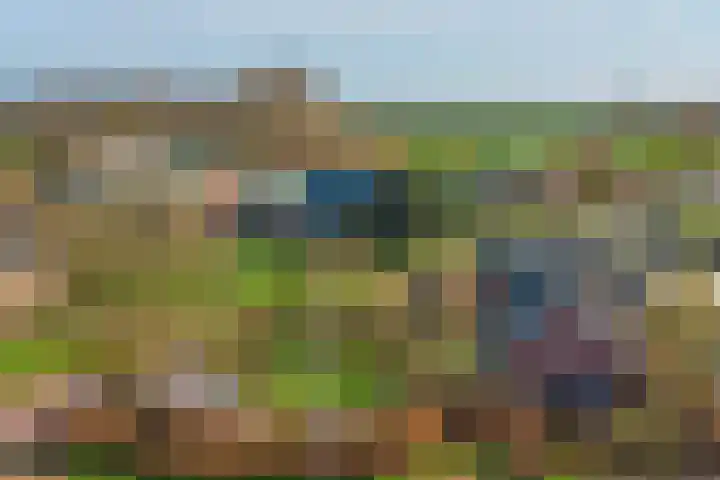 Drielseweg 12 Hedel thumbnail 41