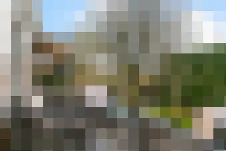 Drielseweg 12 Hedel thumbnail 43