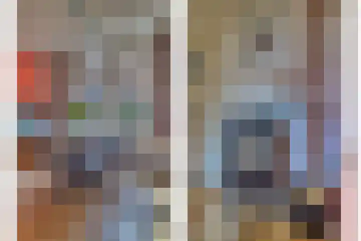 Drielseweg 12 Hedel thumbnail 6