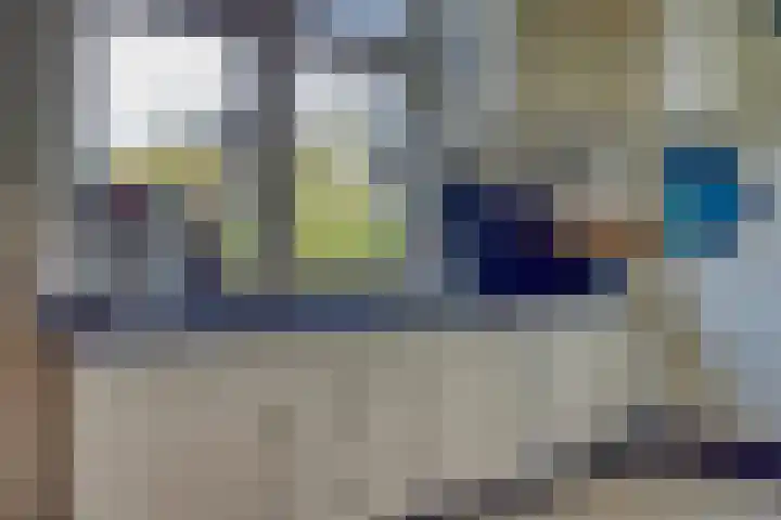 Drielseweg 12 Hedel thumbnail 8