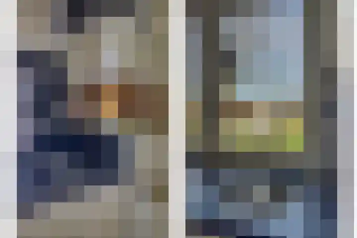 Drielseweg 12 Hedel thumbnail 9