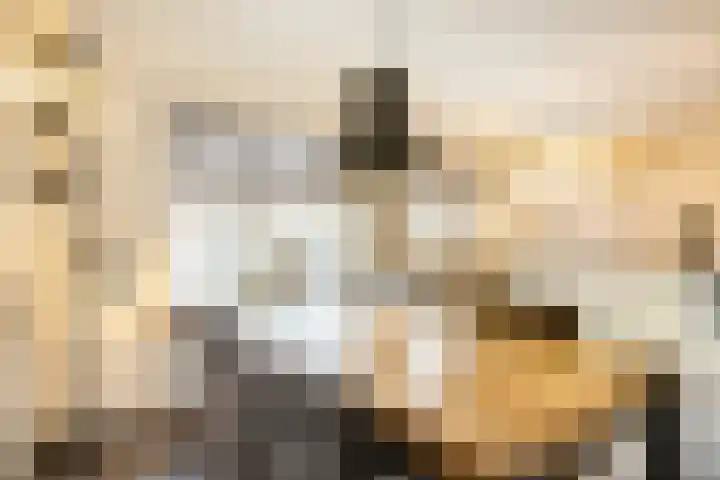 Driemaster 7 Veenendaal thumbnail 11
