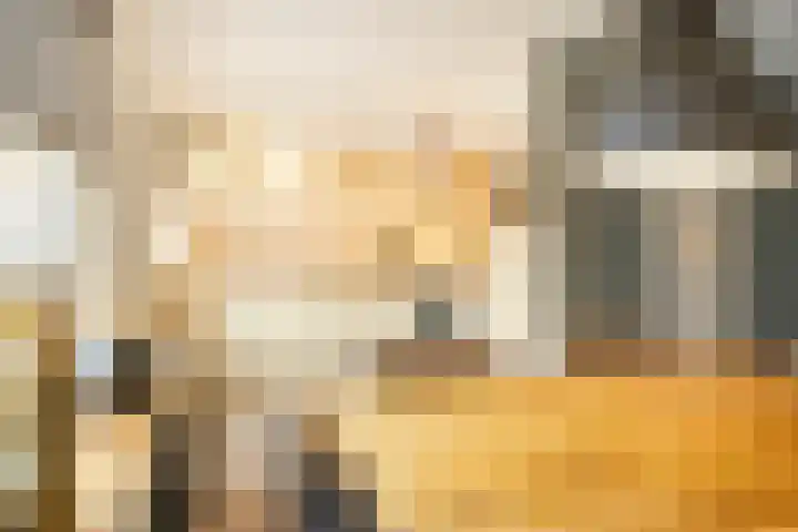 Driemaster 7 Veenendaal thumbnail 12