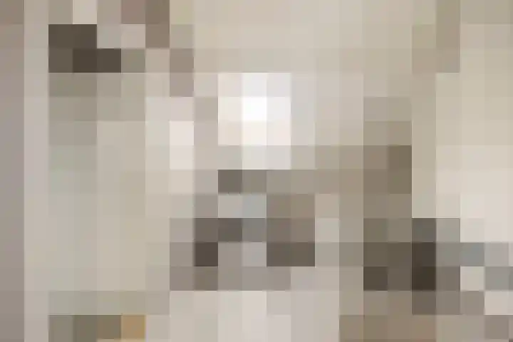 Driemaster 7 Veenendaal thumbnail 31