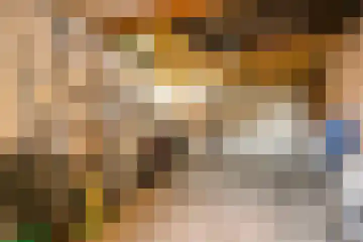 Driemaster 7 Veenendaal thumbnail 39
