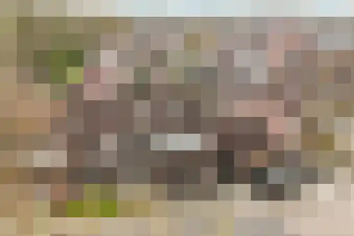 Driemaster 7 Veenendaal thumbnail 42