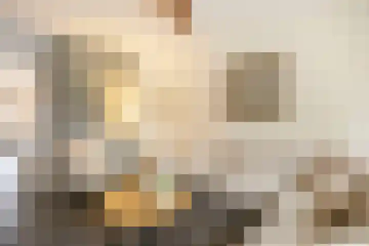 Driemaster 7 Veenendaal thumbnail 7
