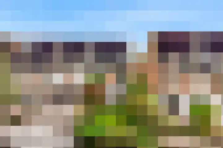 Driemasterwal 11 Leiden