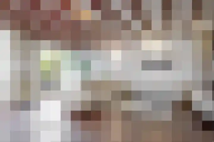 Driemasterwal 11 Leiden thumbnail 13