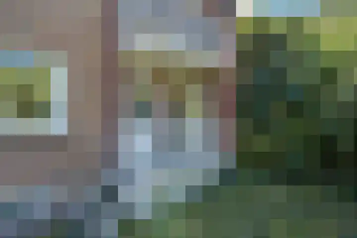 Driemasterwal 11 Leiden thumbnail 17