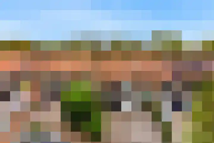 Driemasterwal 11 Leiden foto 2