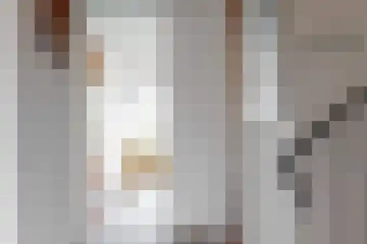 Driemasterwal 11 Leiden thumbnail 20