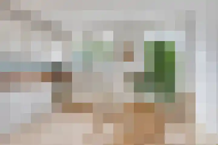 Driemasterwal 11 Leiden thumbnail 36