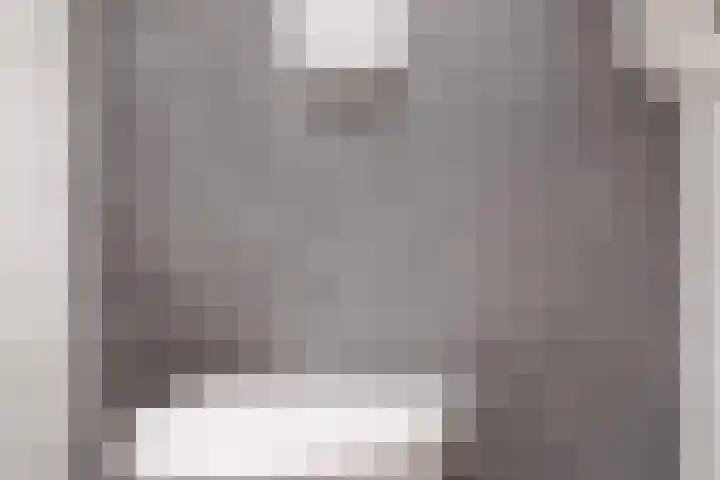 Driemasterwal 11 Leiden thumbnail 39