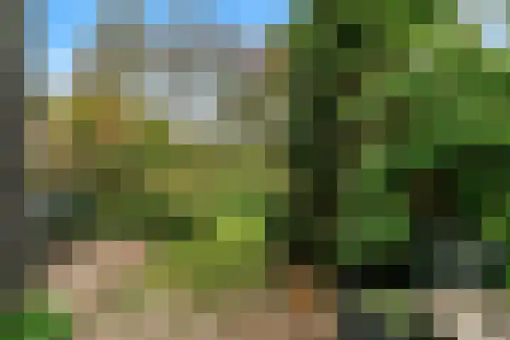 Driemasterwal 11 Leiden thumbnail 5