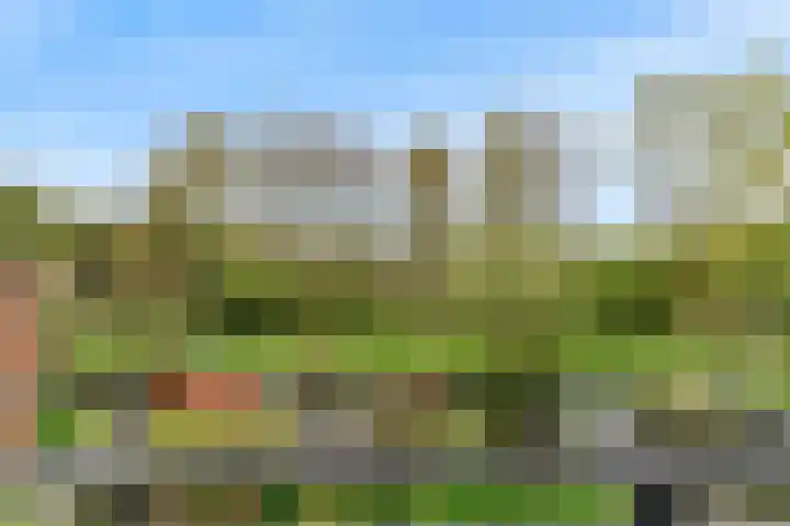 Driemasterwal 11 Leiden thumbnail 55