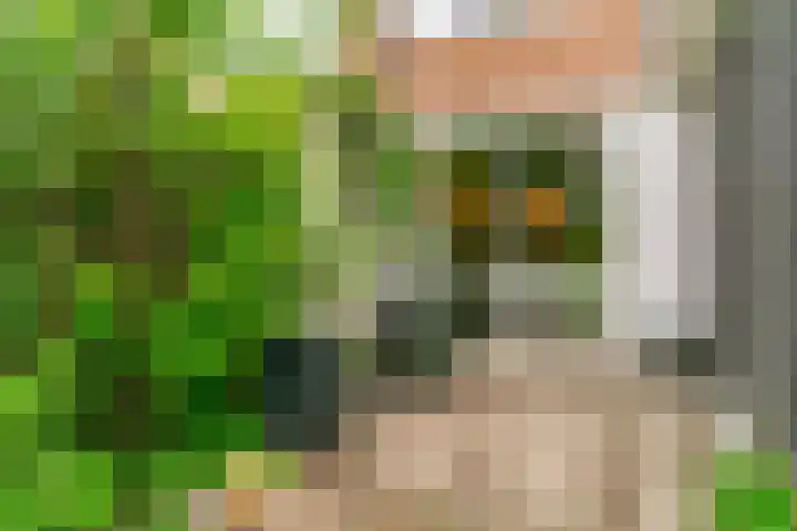 Driemasterwal 11 Leiden thumbnail 56