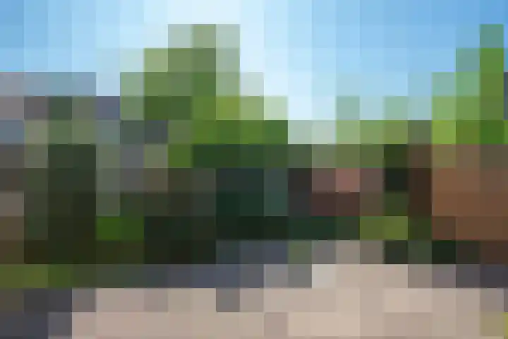 Driemasterwal 11 Leiden thumbnail 57