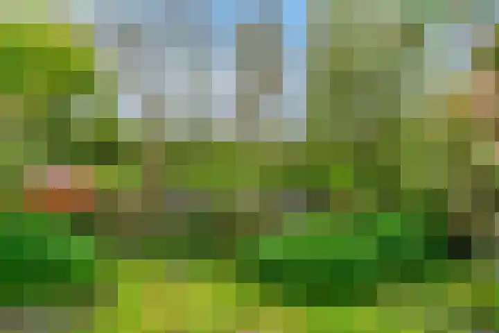 Driemasterwal 11 Leiden thumbnail 59